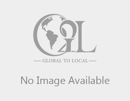 C-COPTIS CHINENSIS<br /> Herbal Medicine Chinese Coptis Chinensis Huang Lian Rhizoma Coptidis