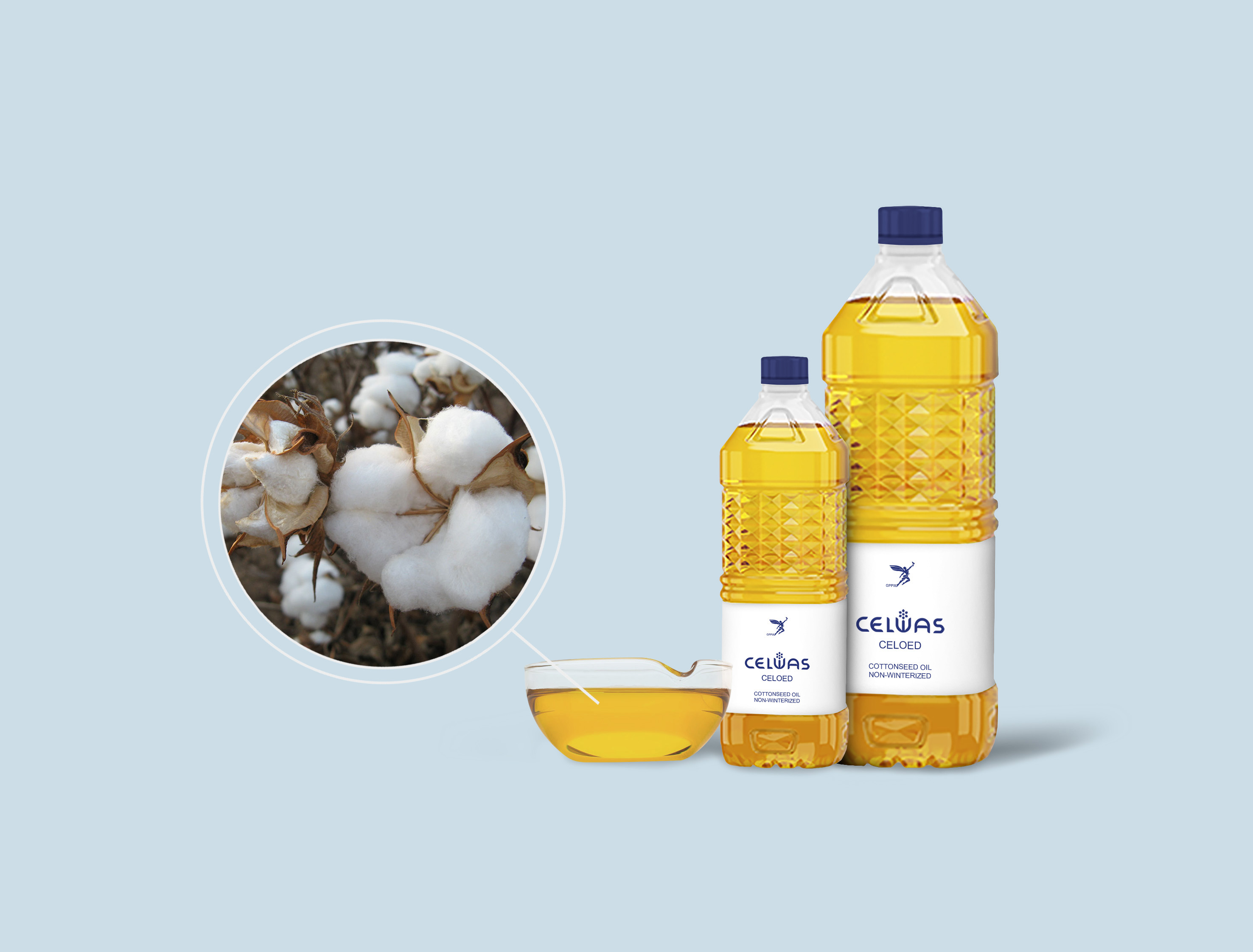 CELOED<br />cottonseed oil, non-winterized