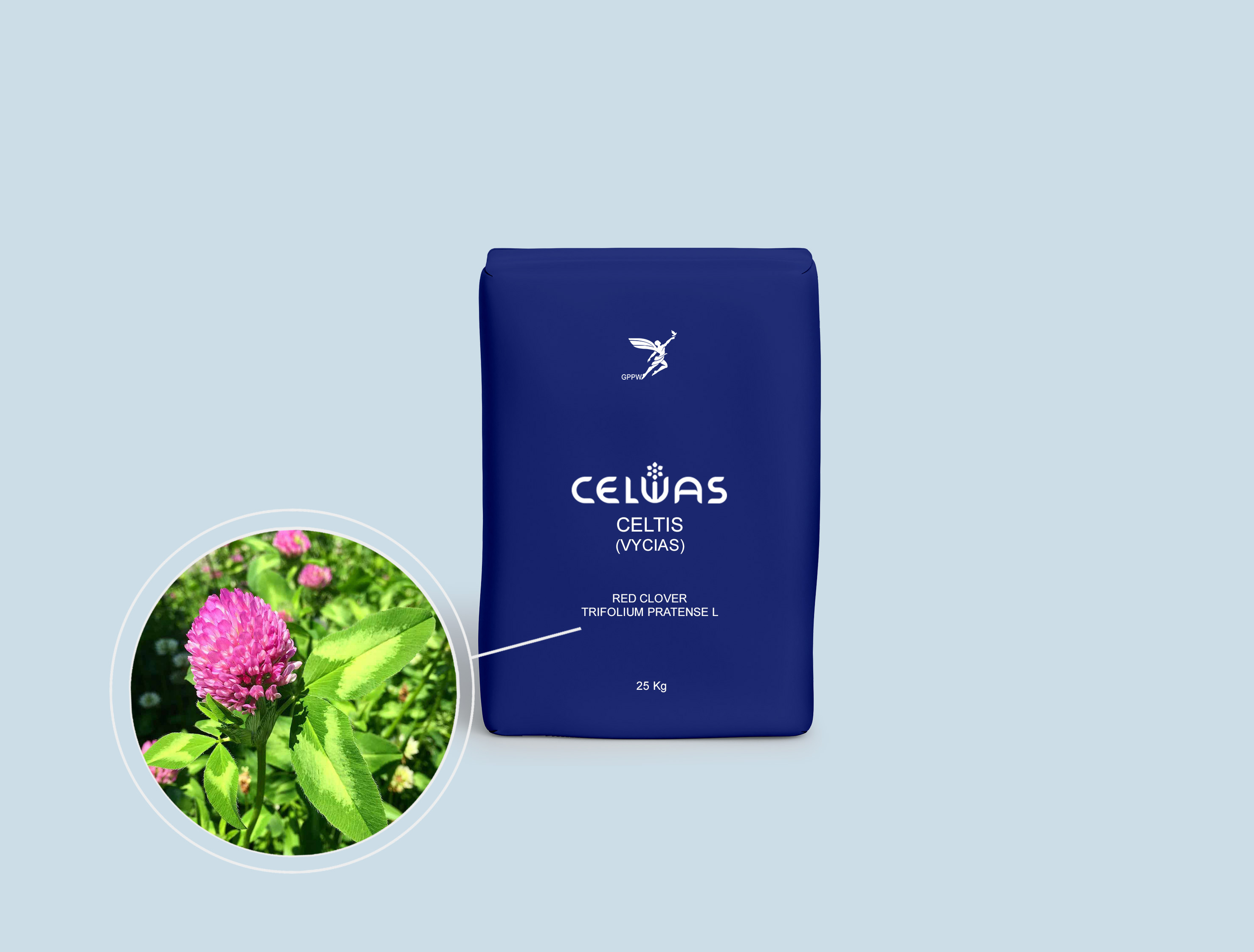 CELTIS (VYCIAS)<br />fodder grasses and legumes